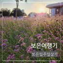 구병마을 | 보은일주일살기 일상여행기 맛집 행사 콘서트 후기