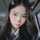 77언니