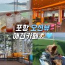 나라애견 | 포항 애견카페 러블랑 댕댕파크 자세한 후기