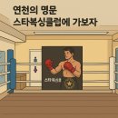 스타복싱클럽 연천 이미지