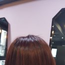 진이네미장원 이미지