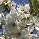 청구농장 이미지