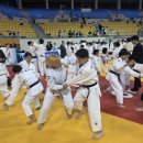 미스터샤크유도짐 이미지