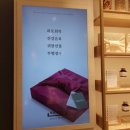 커넥트현대 바라기한약국 이미지