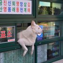 매표소 이미지