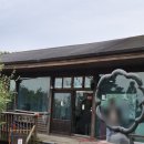 안성(서울) | [서울 경기 근교] 안성캠핑장 너리굴문화마을 글램핑 캠핑바베큐 후기 &amp; 찾아가는 길
