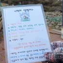 숲속 동키마을 캠핑장 | [첫번째 캠핑] 강원도 홍천 숲속동키마을 캠핑장