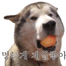 아톰목장 이미지