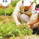 대훈농장 이미지