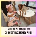 예뻐질:개&고양이카페 이미지