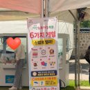 서산마늘 - 양천구 곰달래로13길 42 | 서산 6쪽 마늘 축제 아이랑 다녀온 후기‼️장소 해미읍성