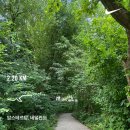 풍녹지 | 암스테르담 여행 2 (암스테르담 러닝(?), 잔세스칸스, 안네의 집)