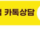 파이어씨드 이미지