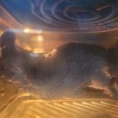 미니K 코인 노래연습장(제원점) 이미지