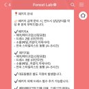 🕊️W02. 제주 스냅 헤어 메이크업 드레스 토탈 동행 : 포레스트랩 예약 후기 @forest_lab_