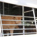 의석농장 이미지