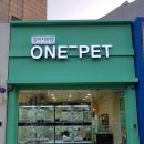 대구고양이분양 원펫 이미지