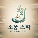 24시스파