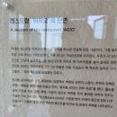 돈의문박물관마을 저잣거리 행사 후기 + 꿀팁