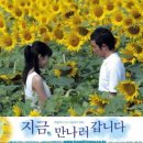 명컬러#