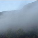 용용선생평택고덕점 | 평택 고덕점집 신점 작년 한 해를 버텨낸 이유