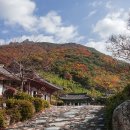 표충사 이미지