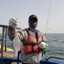 또오이소 이미지