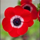 보물바다 이미지