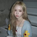 로제래쉬