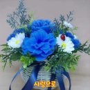 당신 때문에 행복합니다 이미지