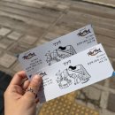 경강바이크 | [가평 여행] 애견 동반 가능한 경강역 수동 레일바이크 후기 🌸🌼🛤️