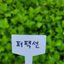 오성농원 이미지