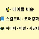 인피니티애로우 | 메이플스토리 비숍 스킬트리 코어강화 하이퍼스킬 어빌리티 사냥터 추천