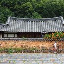 신기마을 (연꽃세상) | 세상에서 가장 예쁜 연못, 인흥원에 연꽃 피었네.