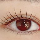 등촌로13길 | 목동 속눈썹펌 마리앤뷰티, 리뷰 이벤트 없이도 포토리뷰가 쏟아지는 이유 (ft. 감동의 첫 방문 후기)