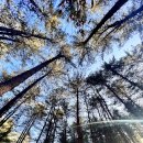 상천테마공원(주차장) 이미지