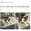 친구네 이미지
