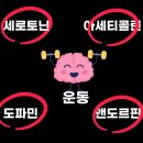 컴포트 짐 이미지