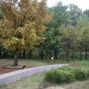 화서휴게소 이미지