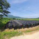 원남리 버스정류장 이미지