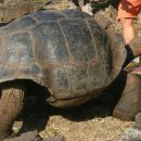 (주)거북 이미지