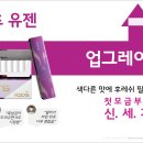 신*세