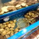 봉곡동290 이미지