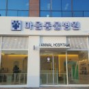 빛고을 동물의료센터 이미지