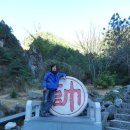 산목 이미지