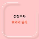 원리 이미지