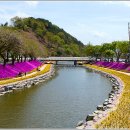 경천 이미지