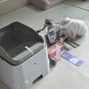 주식회사 제니라이프 | 고양이 자동화장실 스퀘어 추천, 펫츠놀로지 구독 서비스 후기