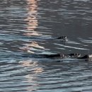 장인보건진료소 이미지