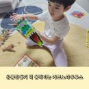 공룡만들기 빅 움직이는 카르노 타우루스 유아 장난감추천